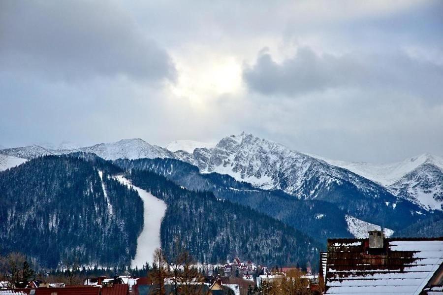 Kominkowa Willa Zakopane Exteriör bild